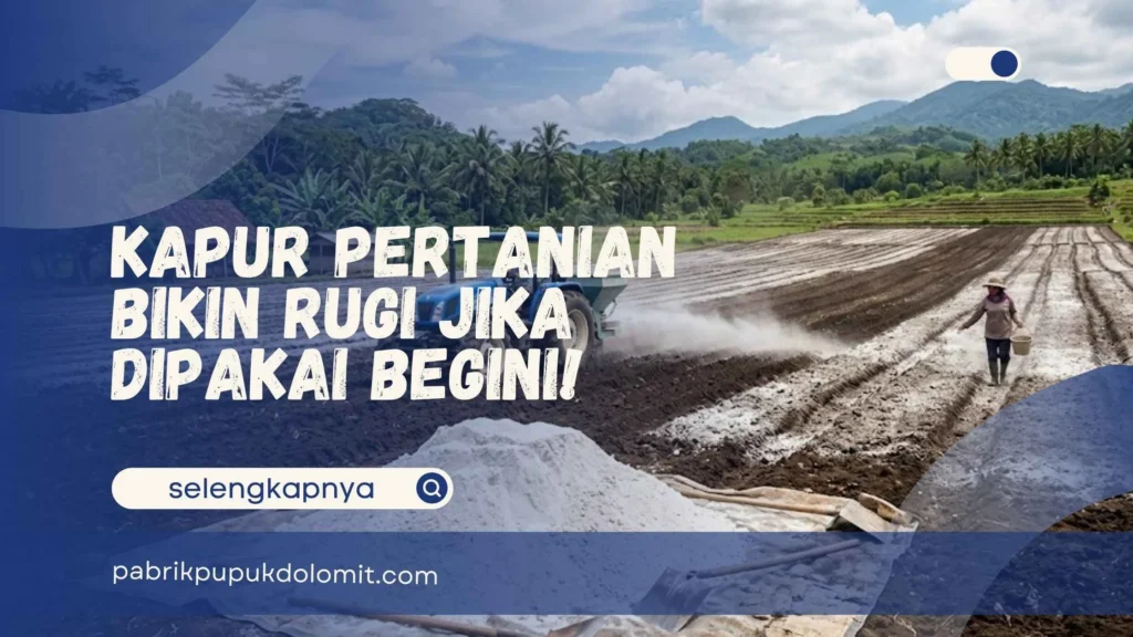 Kapur Pertanian