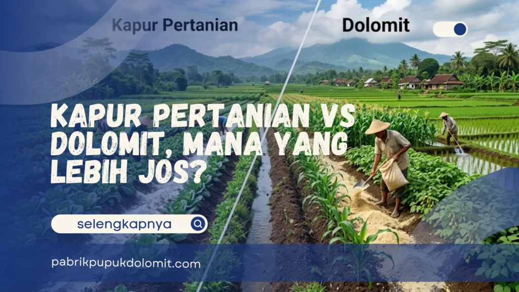 Kapur Pertanian vs Dolomit