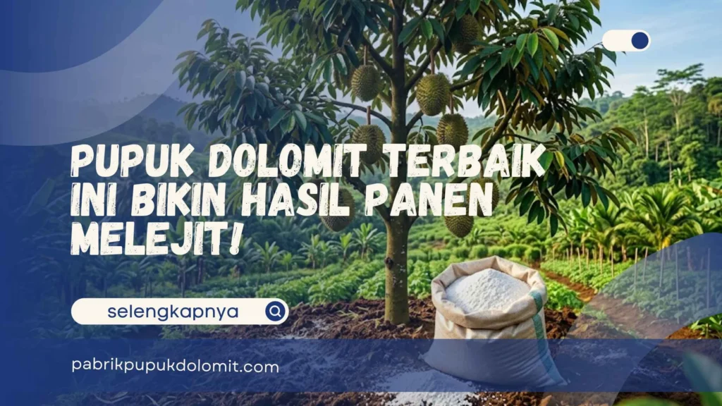 Pupuk Dolomit Terbaik