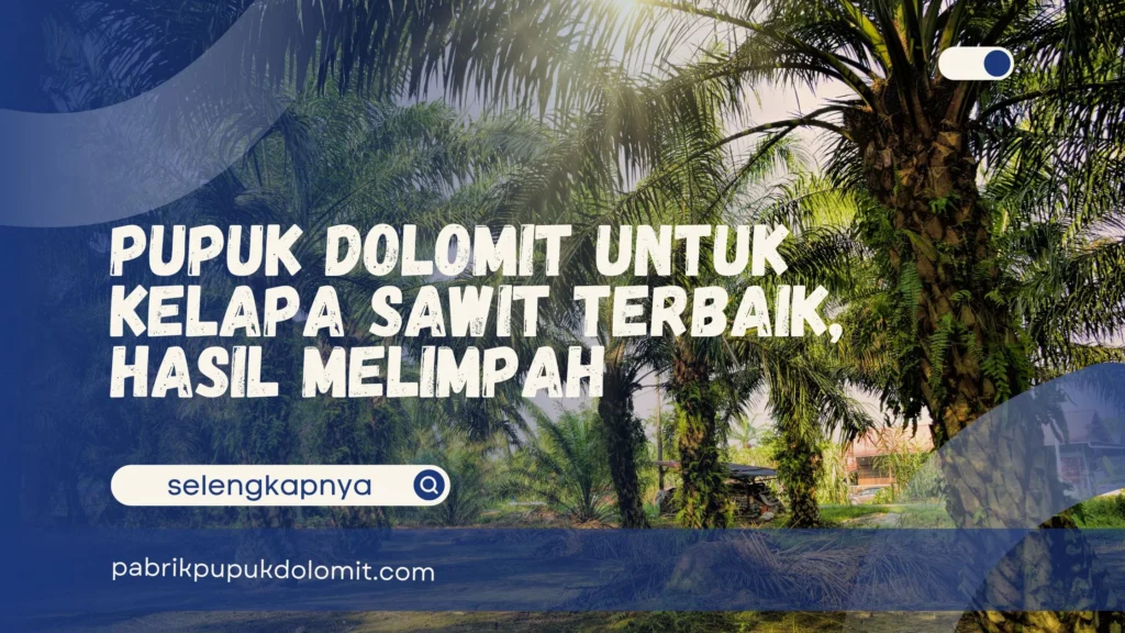 Pupuk Dolomit untuk Kelapa Sawit