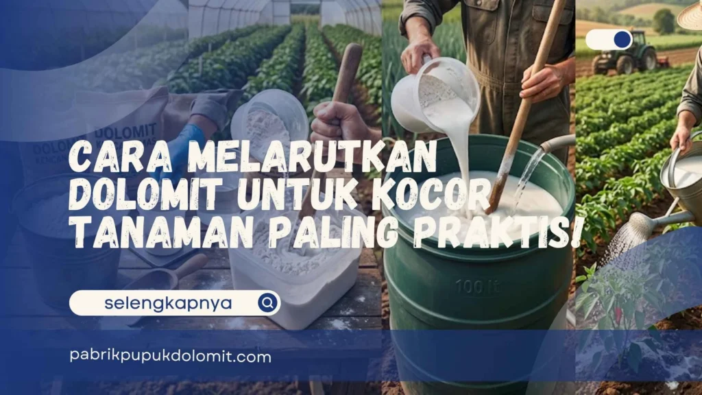 Cara Melarutkan Dolomit untuk Kocor Tanaman