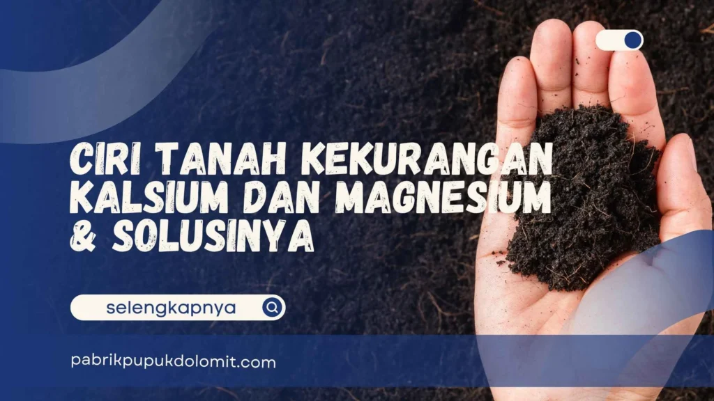 Ciri Tanah Kekurangan Kalsium dan Magnesium