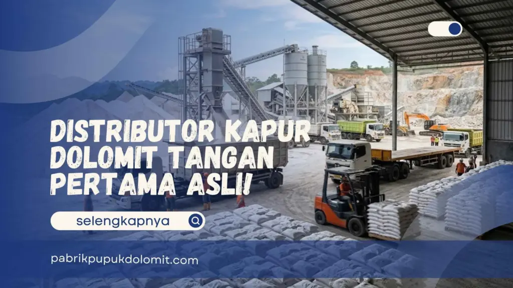 Distributor Kapur Dolomit Tangan Pertama