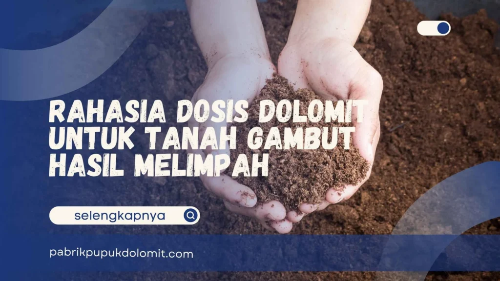 Dosis Dolomit untuk Tanah Gambut