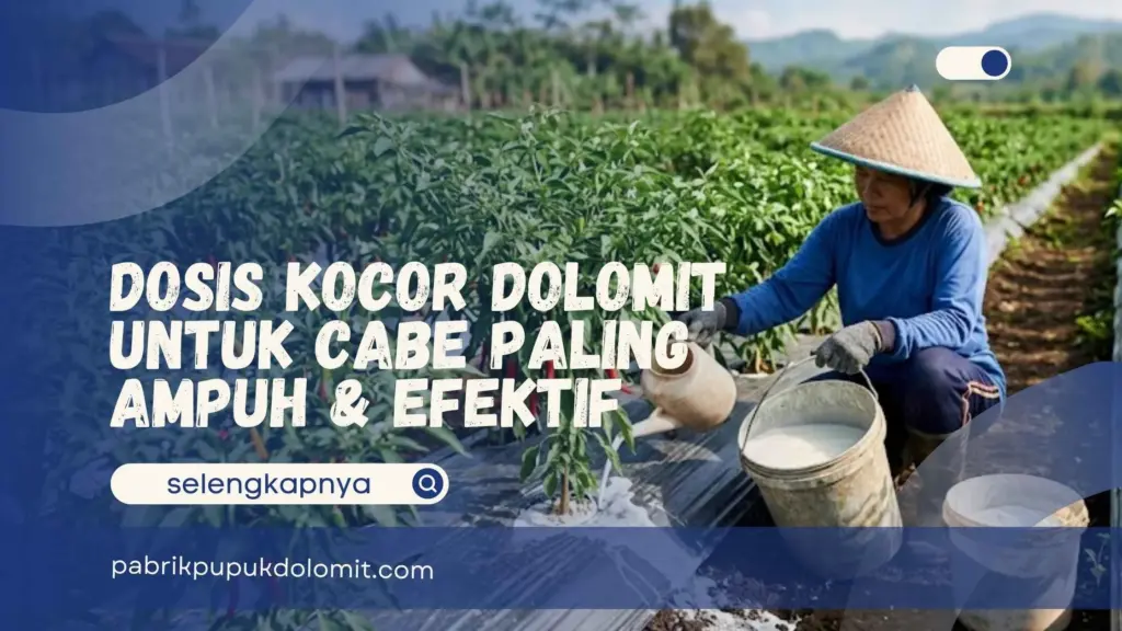 Dosis Kocor Dolomit untuk Cabe