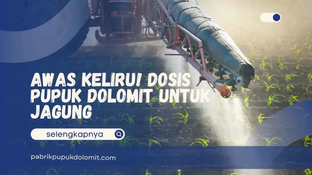 Dosis Pupuk Dolomit untuk Jagung