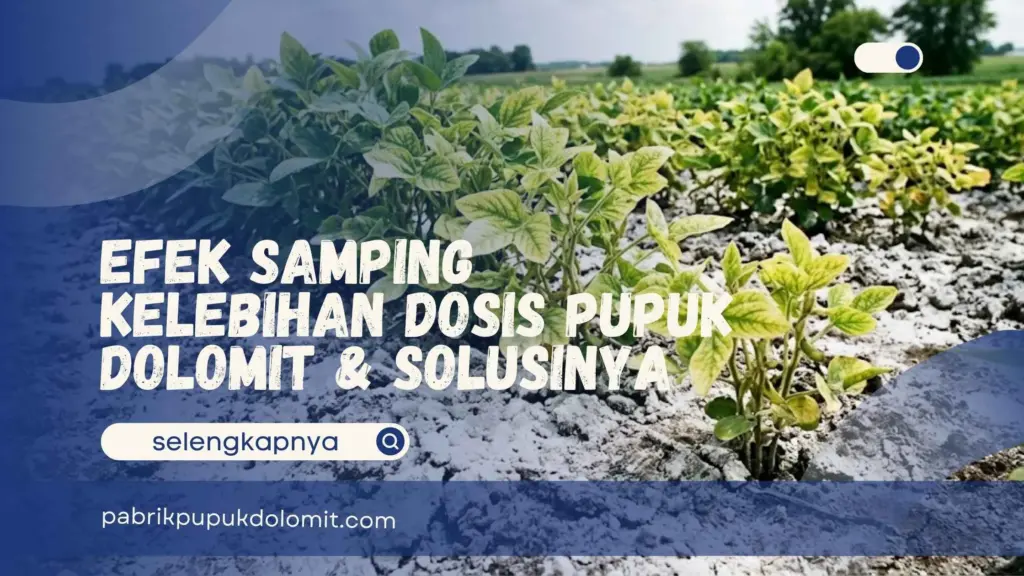 Efek Samping Kelebihan Dosis Pupuk Dolomit