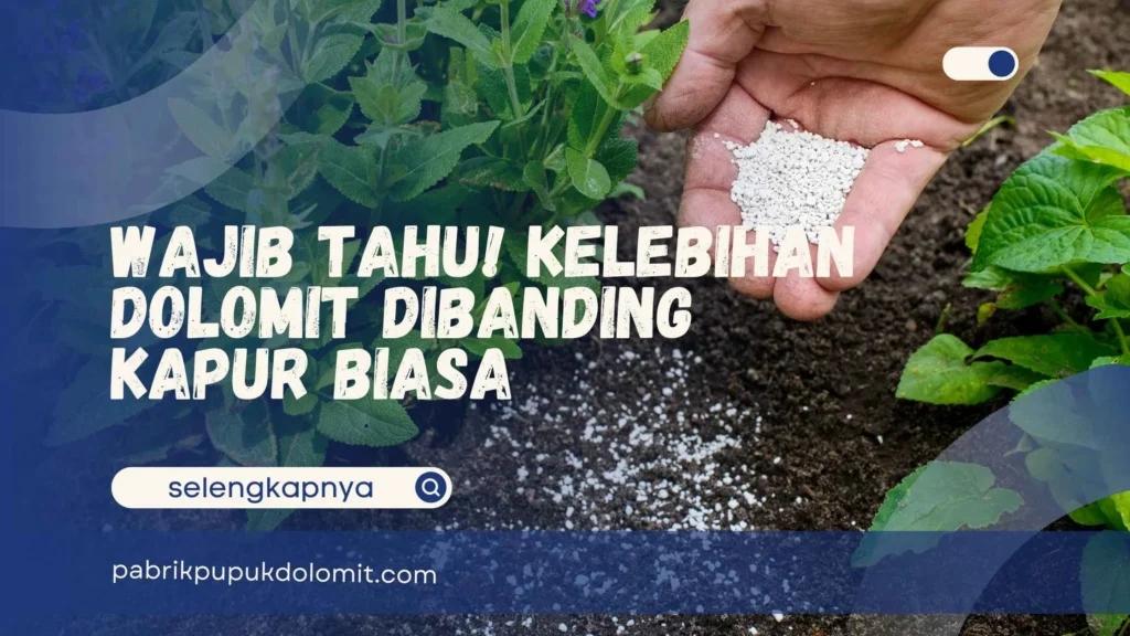Kelebihan Dolomit Dibanding Kapur Biasa