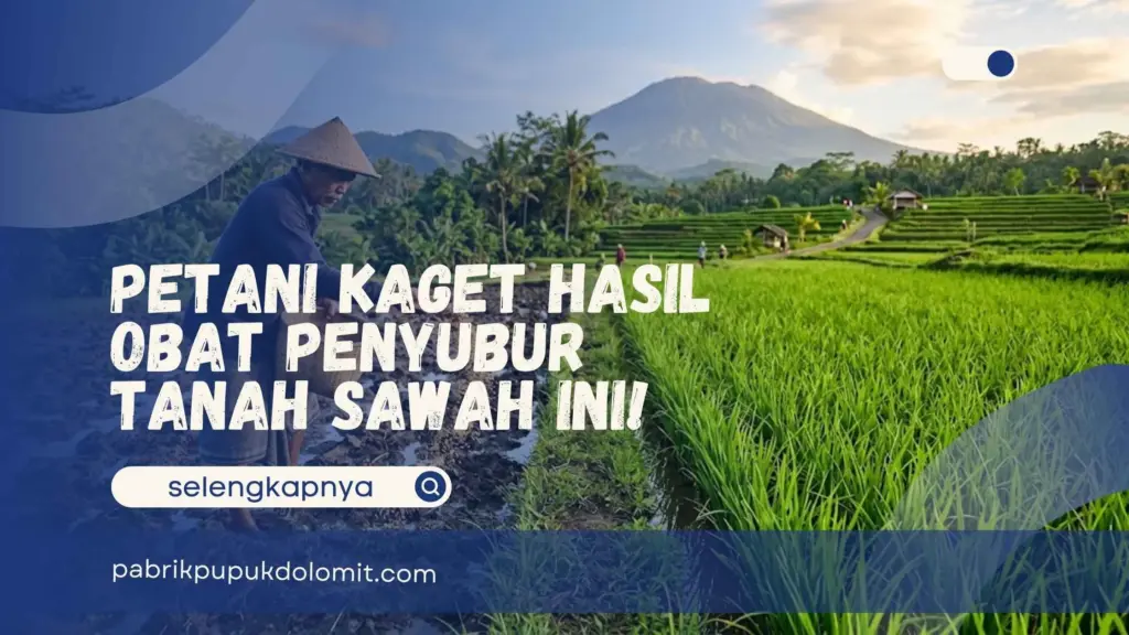Obat Penyubur Tanah Sawah