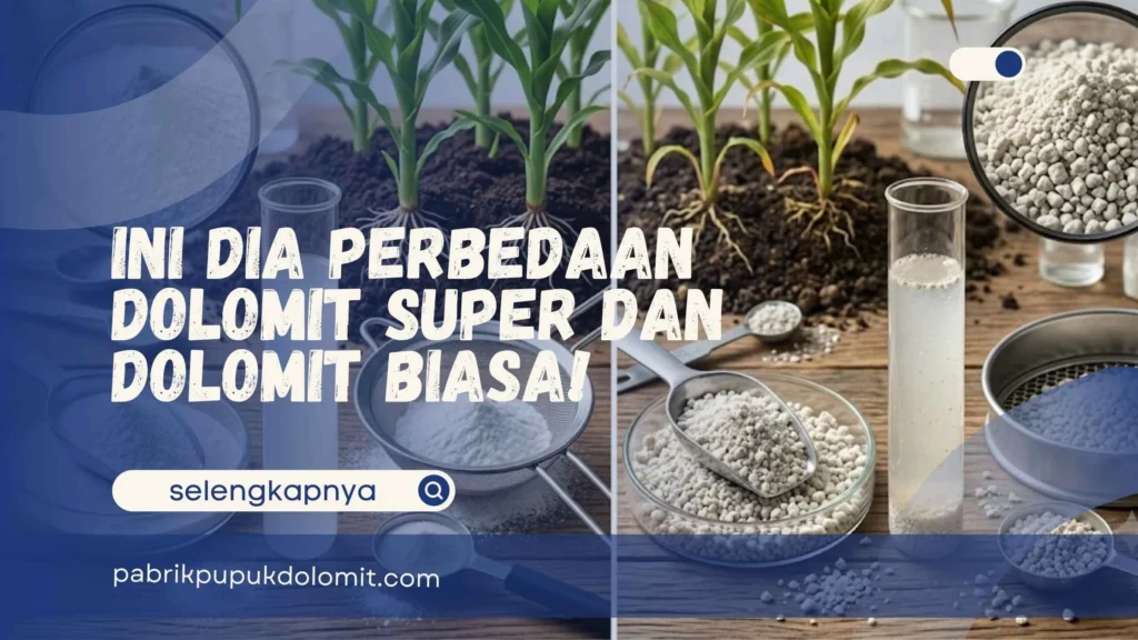 Perbedaan Dolomit Super dan Dolomit Biasa