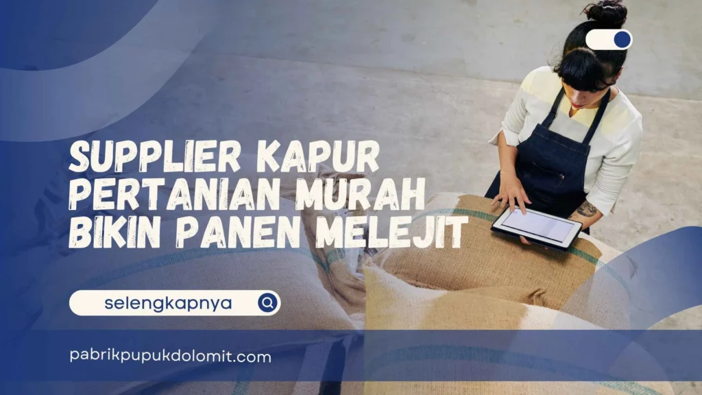Supplier Kapur Pertanian