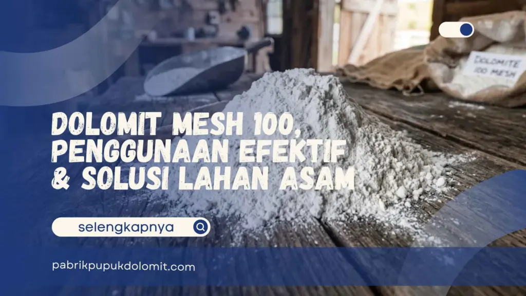 Dolomit Mesh 100