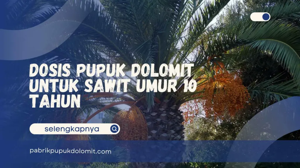 Dosis Pupuk Dolomit untuk Sawit Umur 10 Tahun