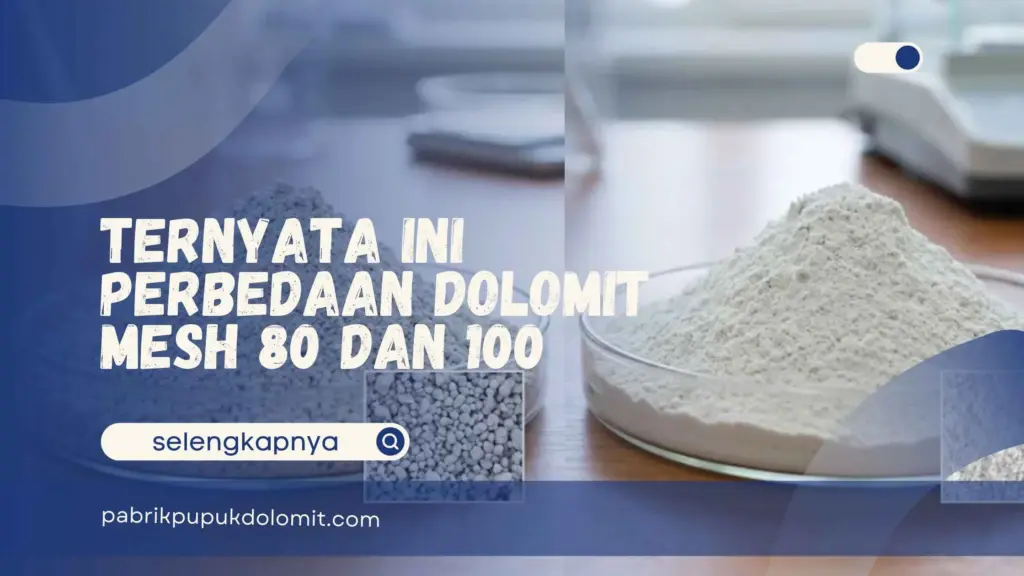 Perbedaan Dolomit Mesh 80 dan 100